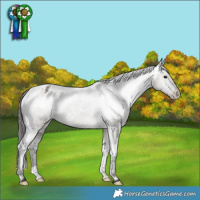 Horse Color:Grullo Varnish Brindle 