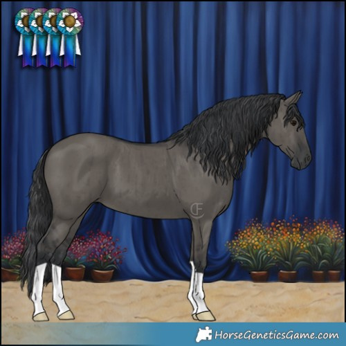 Horse Color:Grullo Brindle 
