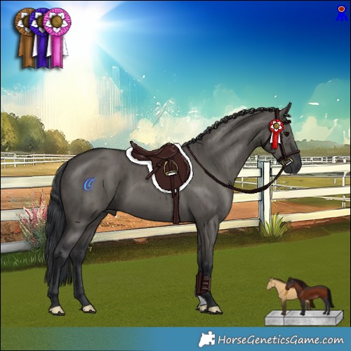 Horse Color:Grullo Brindle