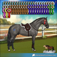 Horse Color:Grullo Brindle 