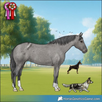Horse Color:Grullo Appaloosa Brindle 