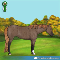 Horse Color:Liver Red Dun Brindle