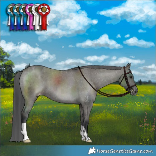 Horse Color:Grullo Varnish Brindle 