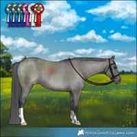 Horse Color:Grullo Varnish Brindle 