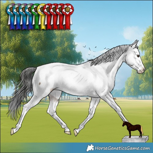 Horse Color:Liver Red Dun Varnish Brindle 