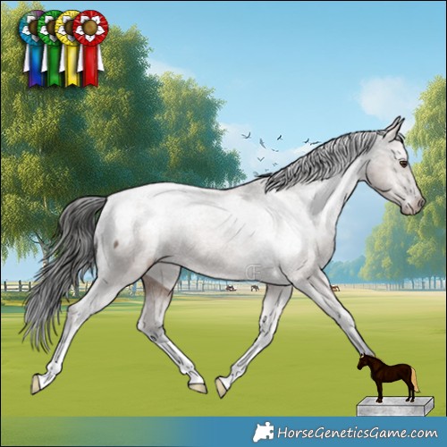 Horse Color:Liver Red Dun Appaloosa Brindle 