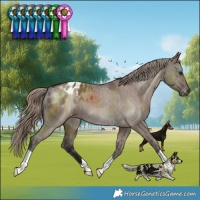 Horse Color:Liver Red Dun Varnish Brindle