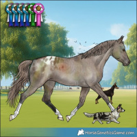 Horse Color:Liver Red Dun Varnish Brindle
