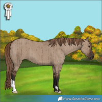 Horse Color:Liver Red Dun Brindle 