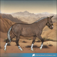 Horse Color:Silver Brown Dun