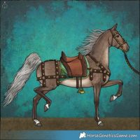 Horse Color:Silver Brown Dun 