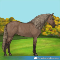 Horse Color:Liver Red Dun 