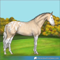 Horse Color:Silver Sable Cream Champagne Roan Splash Blanket