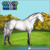 Horse Color:Gray White Spotted Silver Brown 