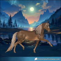 Horse Color:Gray Chocolate Palomino 