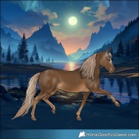 Horse Color:Gray Chocolate Palomino 