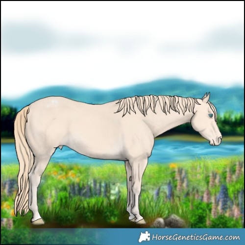 Horse Color:Perlino Varnish 