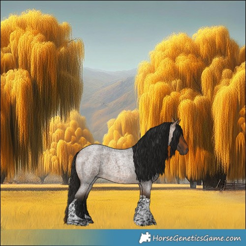 Horse Color:Gray Buckskin Roan Tobiano 