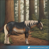 Horse Color:Gray Chocolate Palomino 