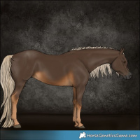 Horse Color:Gray Chocolate Palomino 