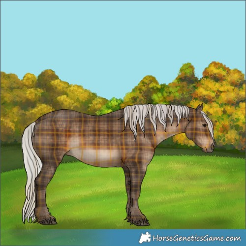Horse Color:Plaid  Silver Brown Sabino 