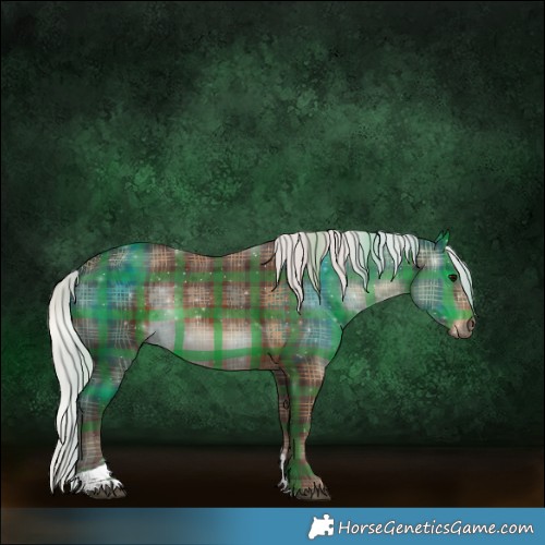 Horse Color:Plaid  Silver Brown Tobiano 