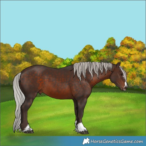 Horse Color:Silver Brown 
