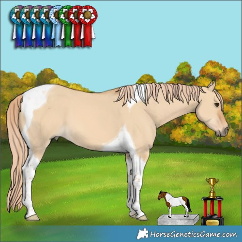 Horse Color:Red Dun Tobiano 