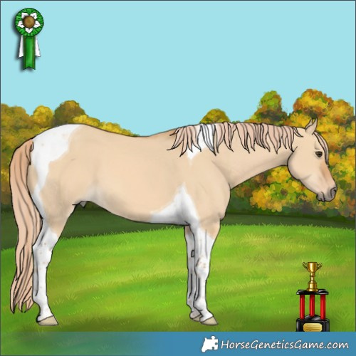 Horse Color:Red Dun Tobiano 