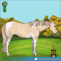 Horse Color:Red Dun Tobiano 