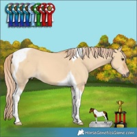Horse Color:Red Dun Tobiano 