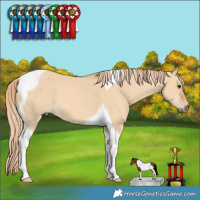 Horse Color:Red Dun Tobiano