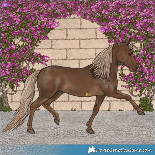Horse Color:Gray Chocolate Palomino 