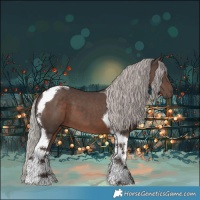 Horse Color:White Spotted Silver Black Tobiano