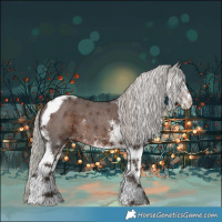 Horse Color:White Spotted Silver Black Tobiano 