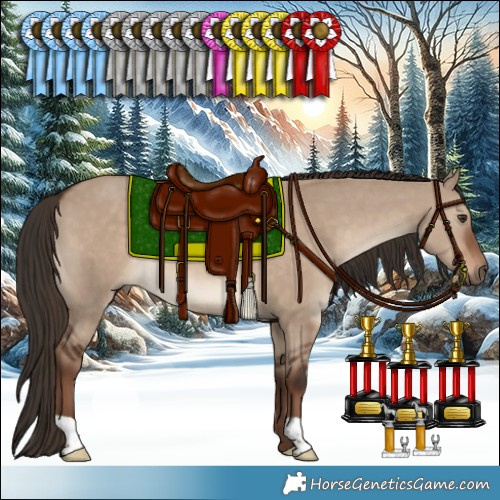 Horse Color:Liver Red Dun 