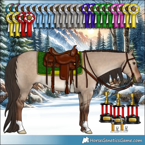 Horse Color:Liver Red Dun 