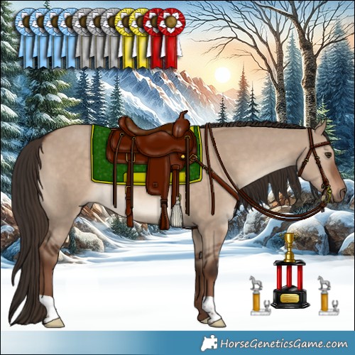 Horse Color:Liver Red Dun 