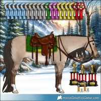 Horse Color:Liver Red Dun 