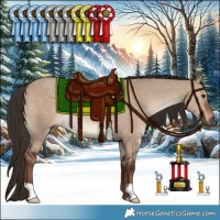 Horse Color:Liver Red Dun