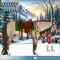 Horse Color:Liver Red Dun