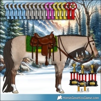 Horse Color:Liver Red Dun 