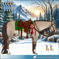 Horse Color:Liver Red Dun