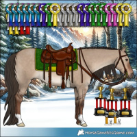 Horse Color:Liver Red Dun