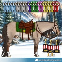 Horse Color:Liver Red Dun 