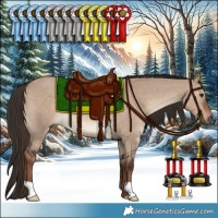 Horse Color:Liver Red Dun