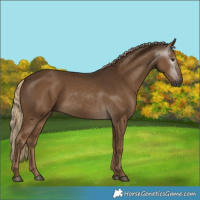 Horse Color:Gray Chocolate Palomino 