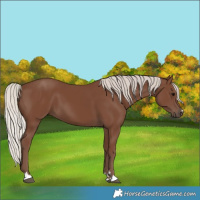 Horse Color:Silver Black 