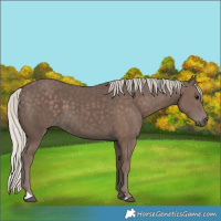 Horse Color:Silver Black