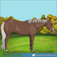 Horse Color:Silver Black 